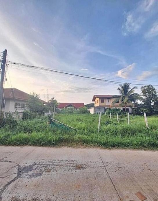 �ѹ���� �� onanong khumaphao