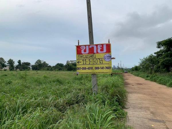 �� �� zionasset1