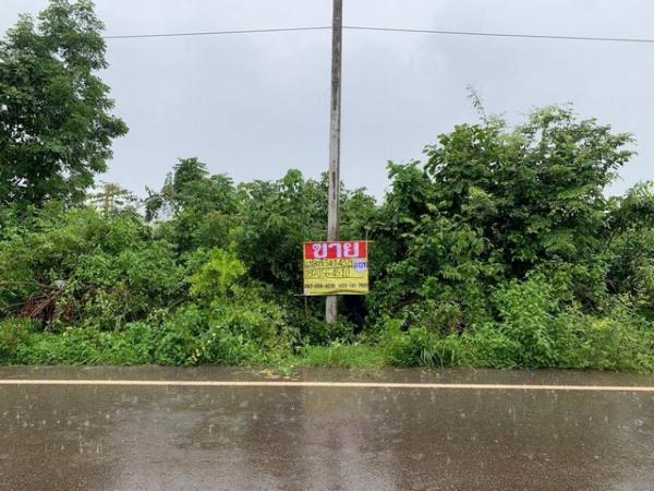 ������ �� zionasset1