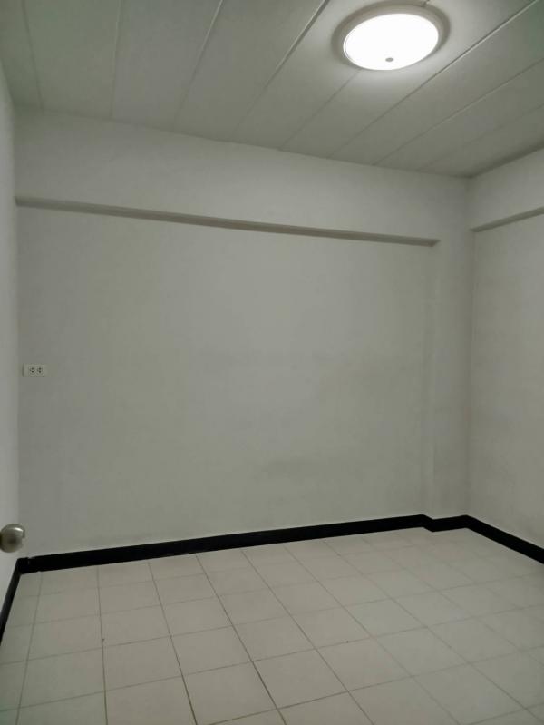 �͹���ѧ��� �ҧ�ع��¹