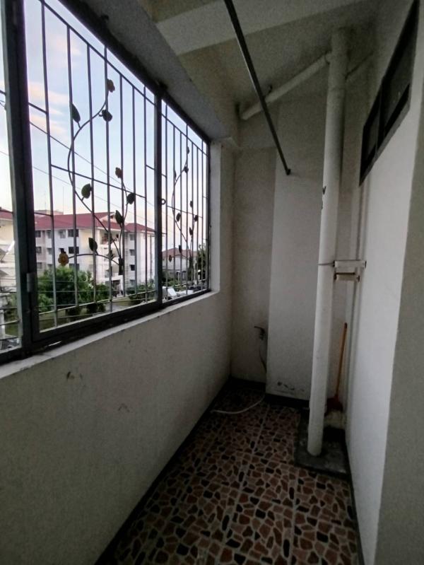 �͹���ͧ��� �ҧ�ع��¹