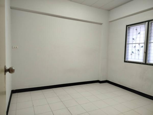 �͹��繷��ž����� �ҧ�ع��¹