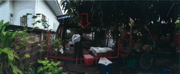 �Ҫ���� �� panaya.opalopal