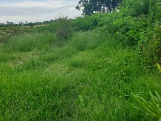 ขายที่ดิน Paradise ขายที่ดิน Paradise