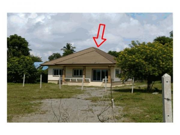 �Ҫ���� �� panaya.opalopal