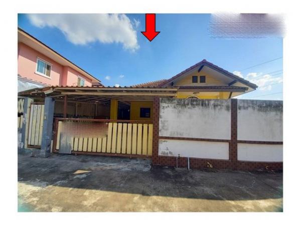 �Ҫ���� �� panaya.opalopal