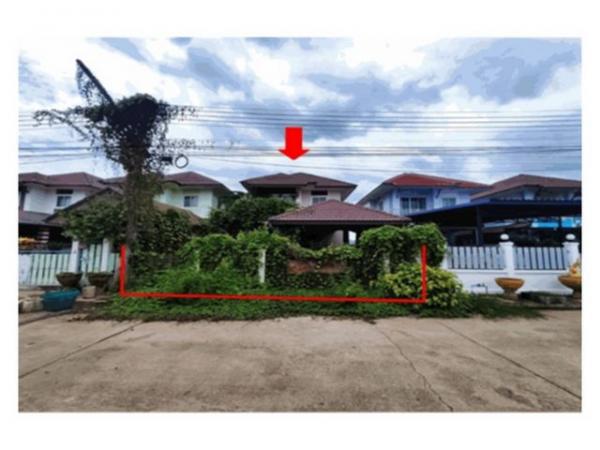 �Ҫ���� �� panaya.opalopal