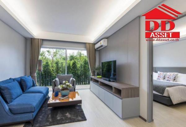 �͹ⴿ�դ����ǹ��ҧ ���¢�ҧ