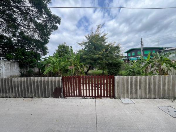 �Ѳ�� �� zionasset1