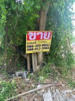 ��·��Թ �Ҥһ�С�Ȣ�� 11,900,000 �ҷ