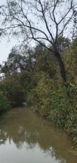 ��� ��ҹ ��ҹ⾸��