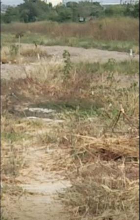 ���Թ������ �ҧ�С�