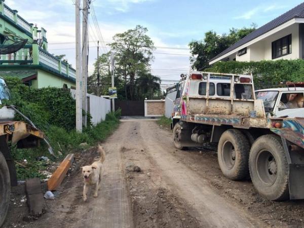 ���Թ��ا෾��ҹ�� �Ҵ�����