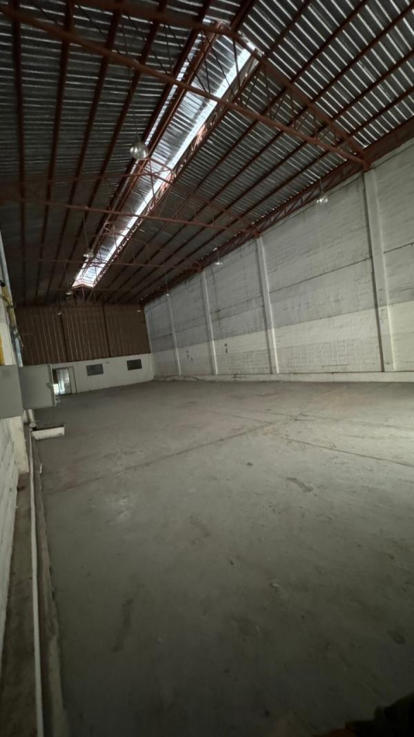 ⡴ѧ���ͧ �� PL BUA