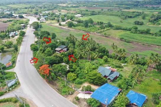 ที่ดิน lotus ที่ดิน lotus