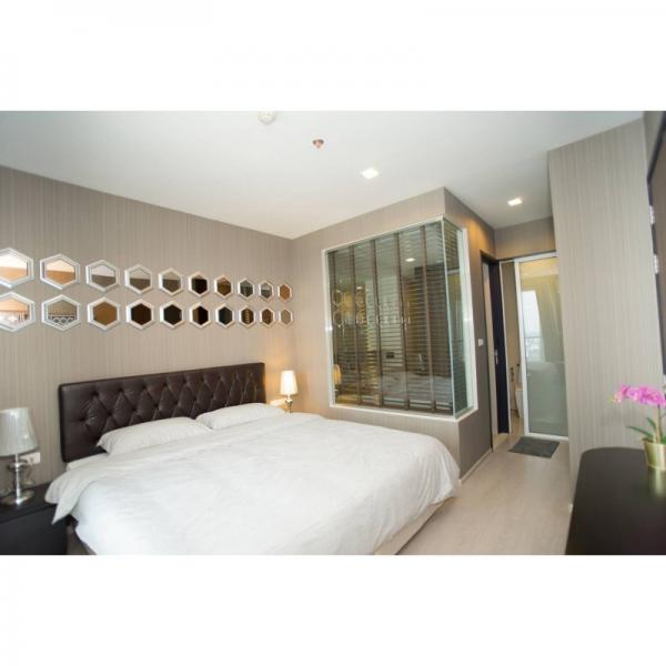 ���⢹� �� easythaihome