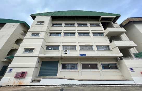 �س ��ѳ��