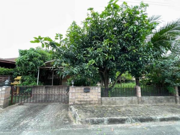 �Ң�ѭ �Ź�����