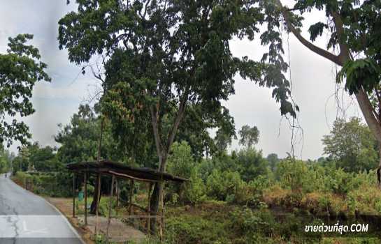 ��·��Թ �����ѹ