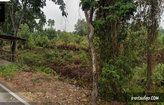 ��·��Թ �����ѹ��ا෾