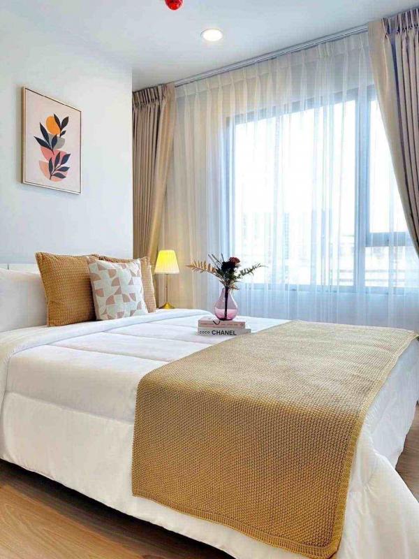 �ҧ��Ѵ �� All Living