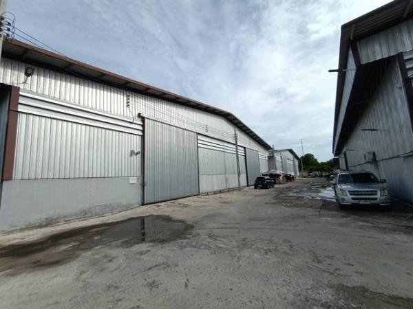 ⡴ѧ�ҧ��� �� asanghapl