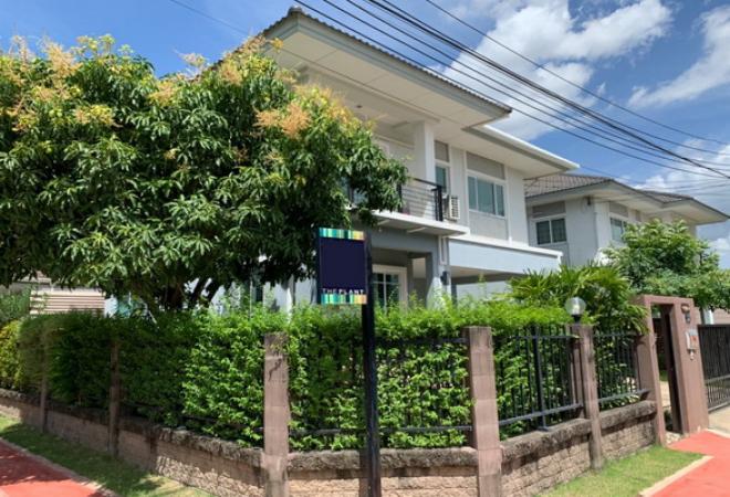 ��ҹ�ҧ� �� Nuttapong