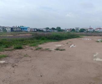 �ҧࢹ �� incube