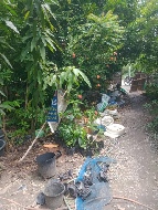 ��·��Թ �Ҥ��ͺ������ҡ��С��