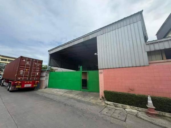 ⡴ѧ�����ҹ �� naorinpl