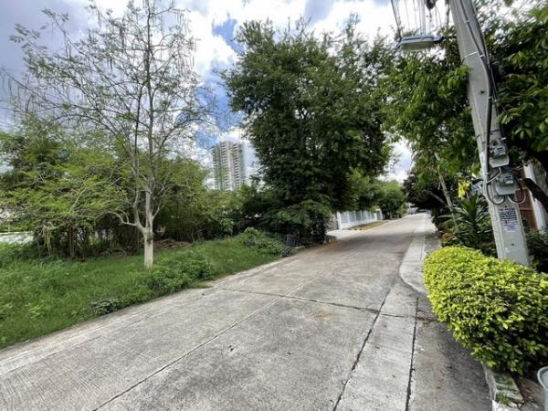 �ҡ��� �� Jyn Property