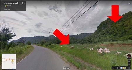 �ҡ��ͧ �� incube