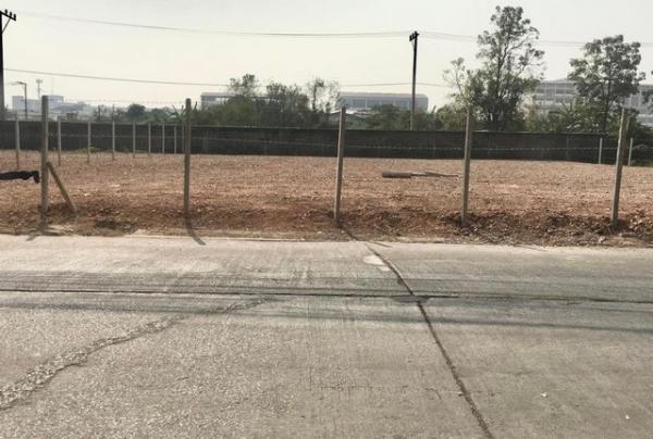 ที่ดิน lotus ที่ดิน lotus