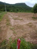 ��·��Թ �Ҥһ�С�Ȣ�� 1,300,000 �ҷ