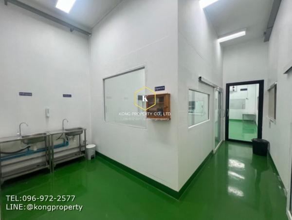 �Ҵ������� �� Kong property