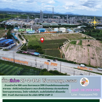 ���Թ�ŧ��� ���ͧ