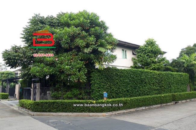 ��ҹ3��ͧ�͹ �ҧ�