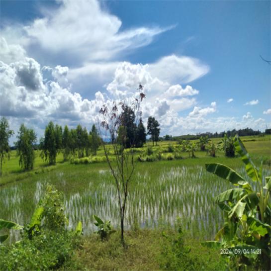 ที่ดิน ทำนา ที่ดิน ทำนา