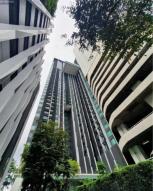 �͹� �Ѳ��