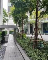 ��¤͹� �Ѳ��