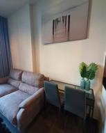 �͹� �Ѳ�� 36 ���ҧ����