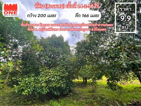 ���Թ ���ǹ �����