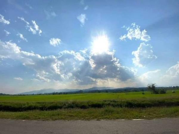 ������ �� onanong khumaphao