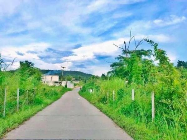 ������ �� northern1