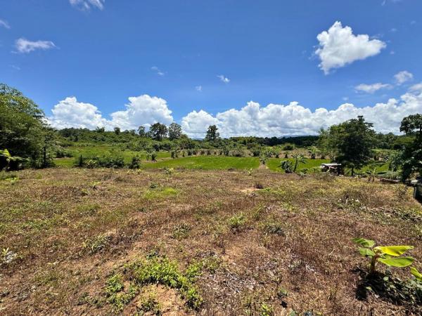 ���Թ ���