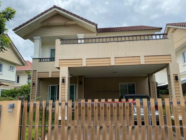 �Ң�ѭ �Ź�����