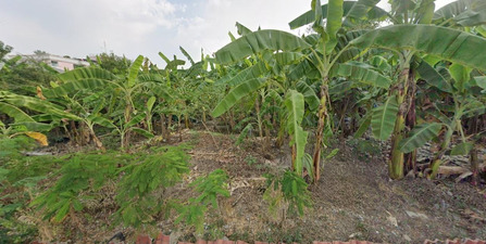 ����Ҵ����� �� HarrisonTH