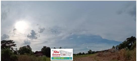 �����к��� �� Estate Corner