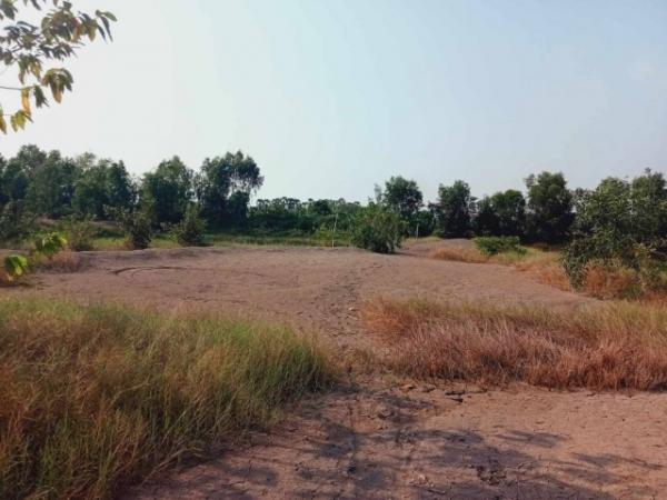 ที่ดิน ทำนา ที่ดิน ทำนา