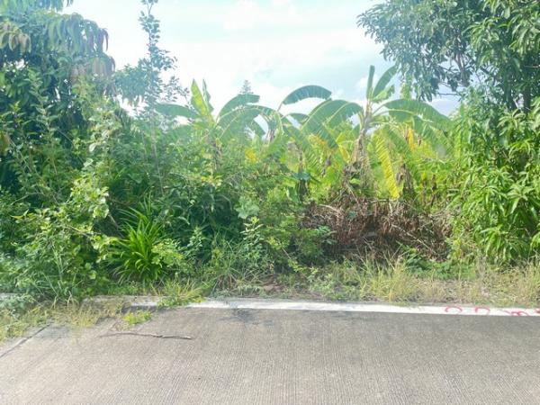 ��ͧ��ǧ �� kulchaya1